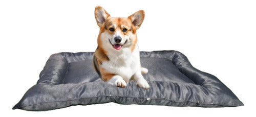 Gully Anti Tear Pet Bed 6