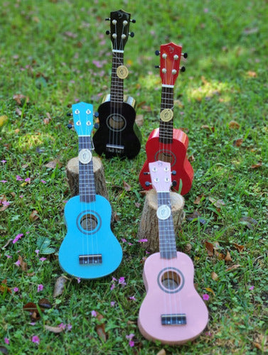 Dy Ukulele Soprano with Aquila Strings and Case *Professional Musician* 6