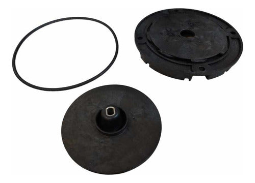 WILO Kit O´ring - Impulsor - Difusor Bomba Modelo PE350EA 0