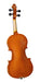 Cervini Violin HV50 3/4 2