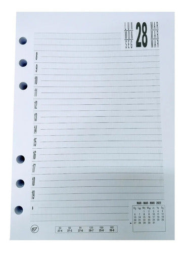 Morgan Sieben 2022 Replacement Diary Days Only 14 X 19 cm 2