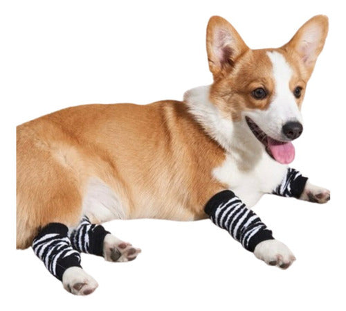 Carolinas Home Knee-Length Socks with Dogs Stripes - 4 Pieces 0