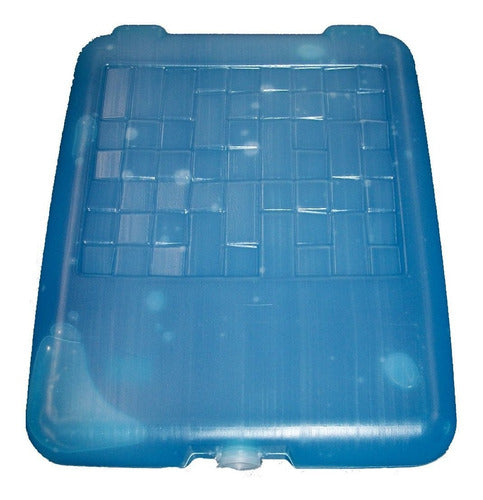 Gel Refrigerante Placa 1 Kg X 5 Geles 1