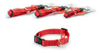Brakko Premium Nylon Fast Lock Small Dog Collar 36-54cm 3