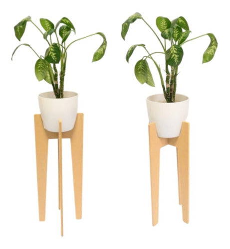 Materia Wooden Planter Holder Set of 3 Units 0