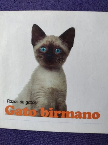 Sobre Con Estampilla Conmemorativa Razas De Gatos 2