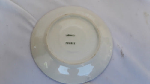 Taza De Te Porcelana Francesa Limoges Linea Color Plata (1) 4