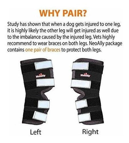 NeoAlly Dog Back Leg Braces - Protects Against Injuries - Black XS Pair 1