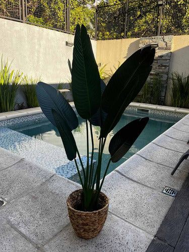 HYF Premium Artificial Bird of Paradise Plant 1.20 Mts 4