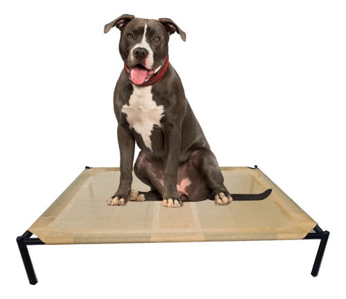 Hilgert Promo 2 Large Dog Beds 90 X 75 Cm 0