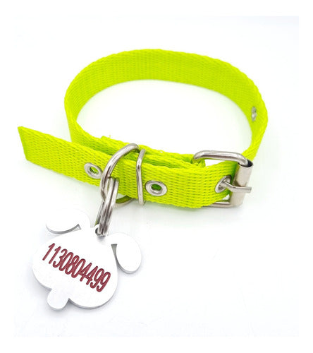 Dog Tag with Dog-Shaped Head + Apple Green Collar 2