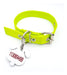 Dog Tag with Dog-Shaped Head + Apple Green Collar 2