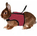 Ferplast Jogging XLarge Red Harness for Rabbits, Chinchillas, Guinea Pigs, and Cats 5