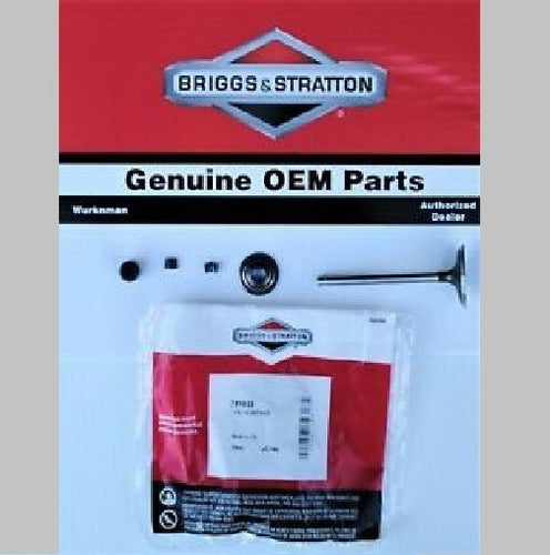 Briggs & Stratton Admission Valve 791935 495857 695761 1