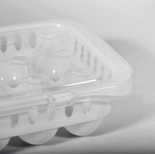 Plastic Egg Holder Tray X 15 with Transparent Lid and White Base by Pettish Online 1