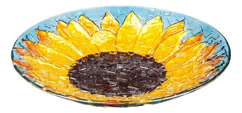 ~? Evergreen Garden 18  Glass Bird Bath Bowl Para Otdoors | 0