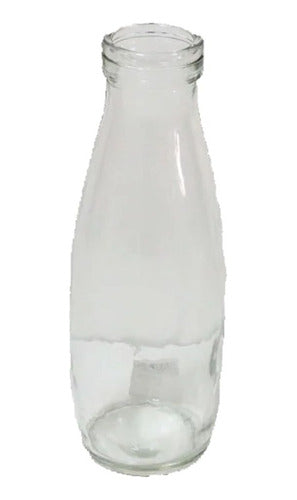 Botella De Vidrio (pack X 20) 0