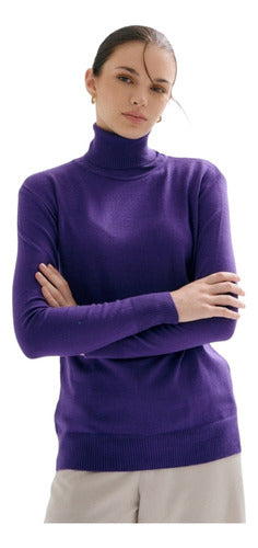 Warm and Comfortable Stretchy Bremer Women's Turtleneck in Various Colors 0