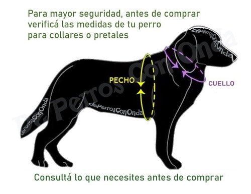 De Perros Con Onda Adjustable Dog Safety Belt Kit + Harness M L 1