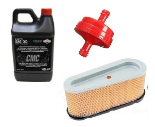 Briggs & Stratton Kit Filtro Nafta Aire 496894 Aceite 12.5hp 0