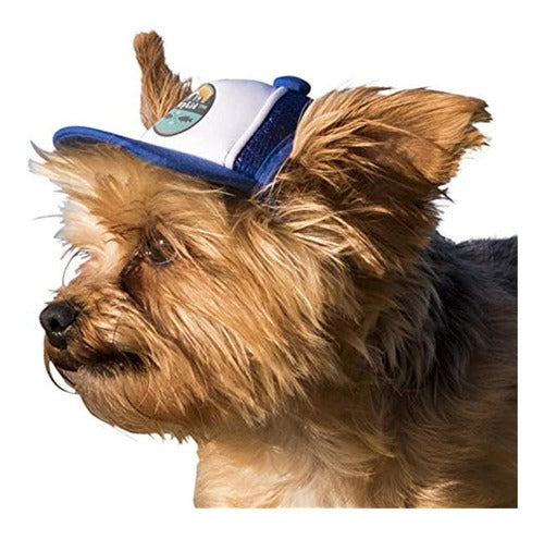 Puplid Trucker Hats for Dogs (XXS) (Blue, Bear) Div 3