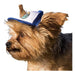 Puplid Trucker Hats for Dogs (XXS) (Blue, Bear) Div 3