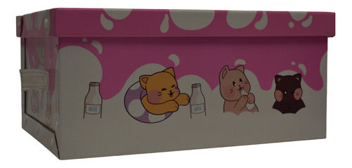 Microbox Large Cat Storage Box 48x36x22cm 5