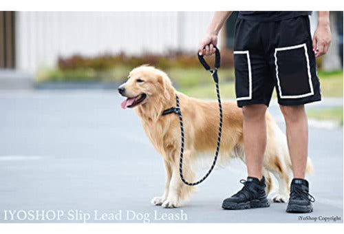 Iyoshop Dog Leash Durable 6 Feet with 5