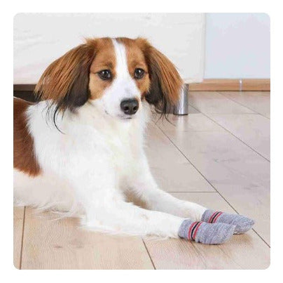 Trixie Anti-Slip Cotton Socks X2 for Dogs XL 4