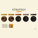 Strategy Set X2 Colorant Shampoo for Hair and Beard T/ The Shades 3