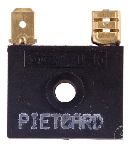 Pietcard Rectifiers Suzuki Ax - 100 2t 2007/- 0