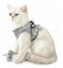 Padded Harness with Leash for Small Dogs and Cats - Various Sizes 36