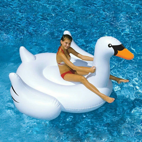 Inflable Piscina Cisne Dorado Floaties Playa Adulto 195 Cm 3