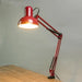 Lasa Architect Adjustable Lamp with Clamp and Pin 2