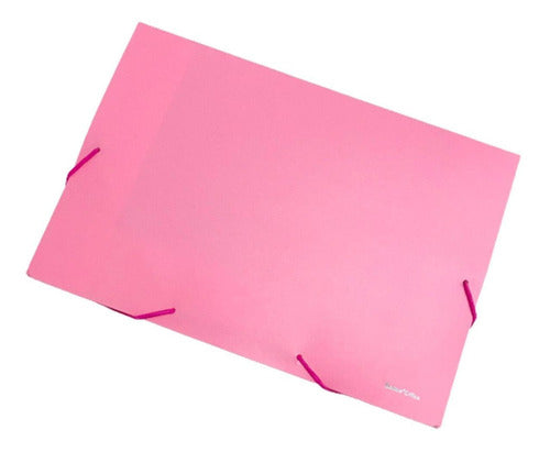 Plastic File Box Folder with 4 cm Spine, Legal Size 4