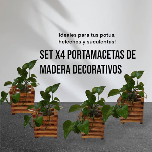 Set of 4 Decorative Pine Planters with Potus Fern Handles 15