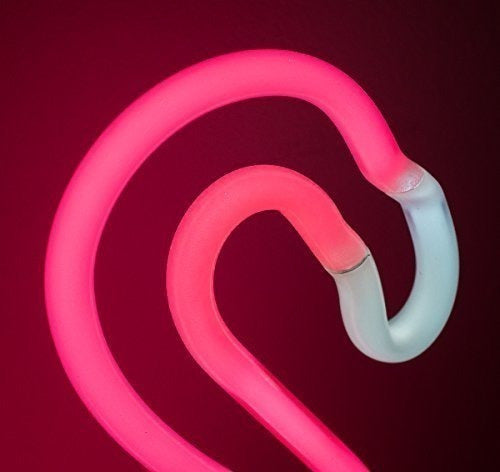 Amped & Co Neon Flamingo De Computadora Rosa 5