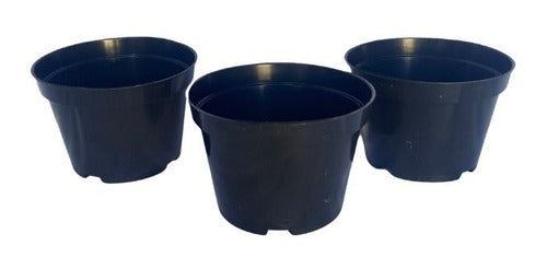 120 Vasos Pote 11 Mudas Plantas Plástico Preto Flor Violeta 0