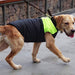 Dora Bridal Dog Wedding Vest Warm Windproof Jacket 4