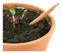 Plantable Seed Pencil Capsule in Colors - Customizable Eco Option 3