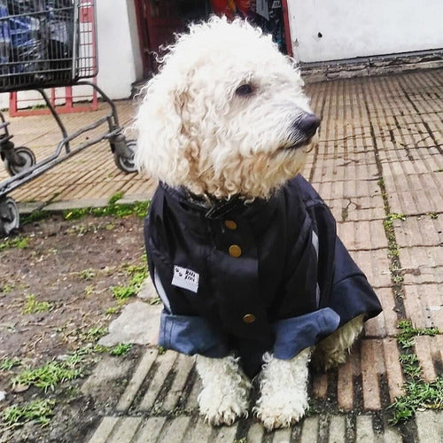 Piloto Impermeable Para Perro Hecho A Medida. 2