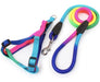 Zoomundo Multicolor Fluo Leash and Harness for Small Dogs, Cats, and Rabbits 6