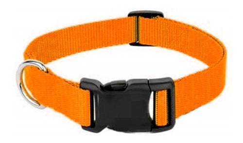 Nylon Collar and Leash Set for Dogs and Cats Various Sizes 52