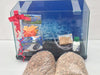 Discus Moron Complete Aquarium Kit - 50x35x20 with Free Base! 1