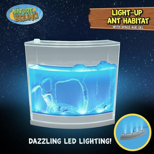 Habitat De Gel Com Iluminação Para Formigas Nature Bond 2