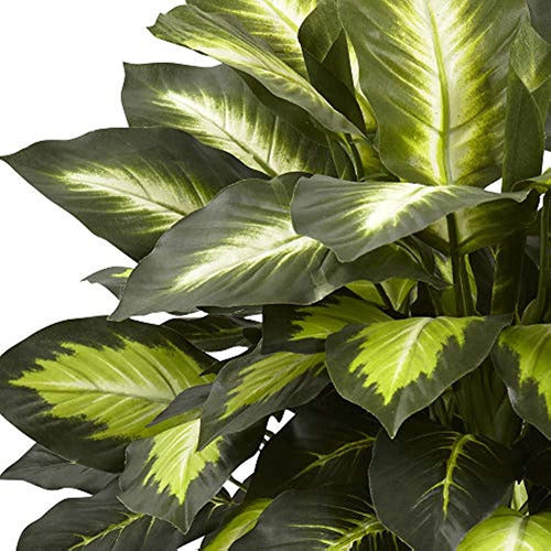 Casi Natural Triple Oro Dieffenbachia Seda Planta 1