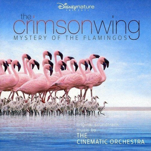 Cinematic Orchestra Crimson Wing Mystery of the Flamingos CD 0