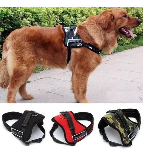 Petdog Control Harness for Dogs - Padded Size L with Car Belt 3