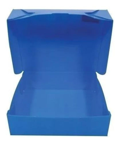 Util-of Plastic File Boxes Legal Size x 10 Units Blue 0