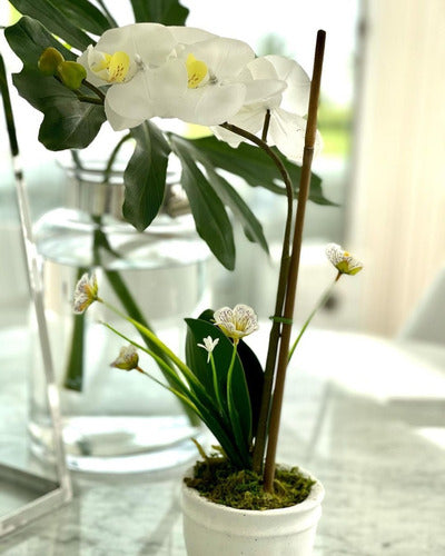 Artificial Orchid Flowers 35cm Home Garden Decor Plant Zn 2